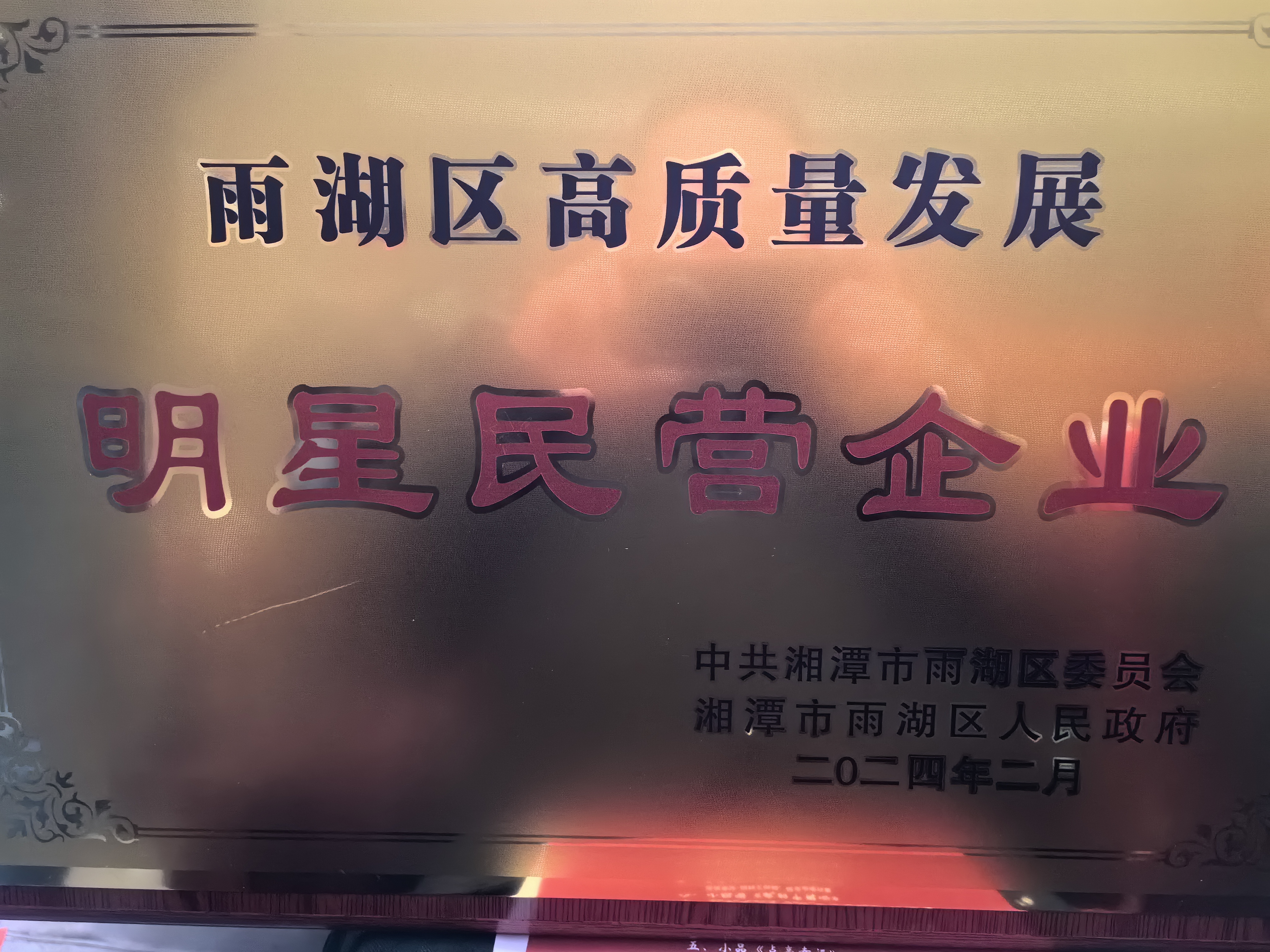 时博(中国)荣获“雨湖区高质量发展明星民营企业”称号